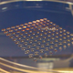 Image for article titled A 3D Printer That Generates Human Embryonic Stem Cells